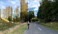 Pedal 4 pleasure