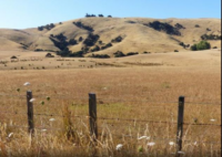Wairarapa